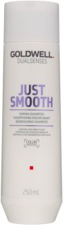 Goldwell Dualsenses Just Smooth champú alisador para cabello rebelde