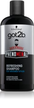 got2b Phenomenal