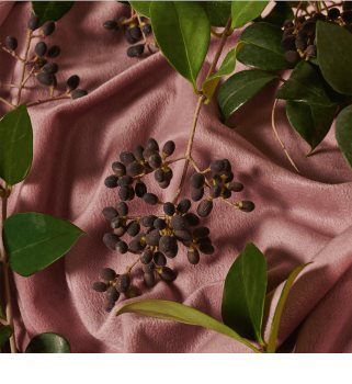 Gucci Bloom Acqua di Fiori eau de toilette pentru femei 100 ml