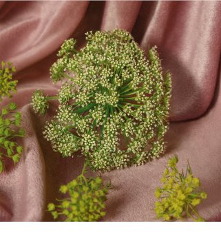 Gucci Bloom Acqua di Fiori тоалетна вода за жени 100 мл.