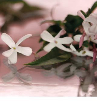 Gucci Bloom eau de parfum nőknek 100 ml