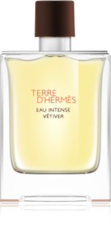 Hermès Terre d'Hermès Eau Intense Vétiver parfumska voda za moške 100 ml
