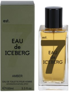 Iceberg Eau de Amber toaletní voda pro muže 100 ml