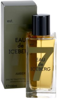 Iceberg Eau de Amber toaletní voda pro muže 100 ml
