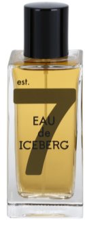 Iceberg Eau de Amber toaletní voda pro muže 100 ml