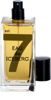 Iceberg Eau de Amber toaletní voda pro muže 100 ml