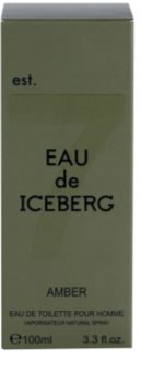 Iceberg Eau de Amber toaletní voda pro muže 100 ml
