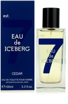 Iceberg Eau de Iceberg Cedar eau de toilette pentru bărbați 100 ml