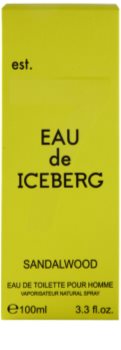 Iceberg Eau de Iceberg Sandalwood Eau de Toilette para homens 100 ml