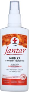 Ideepharm Medica Jantar spray pentru ingrijirea parului pentru par deteriorat