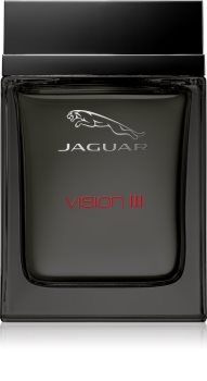 jaguar vision iii