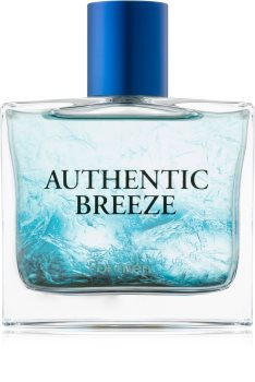 Jeanne Arthes Authentic Breeze toaletna voda za moške 100 ml