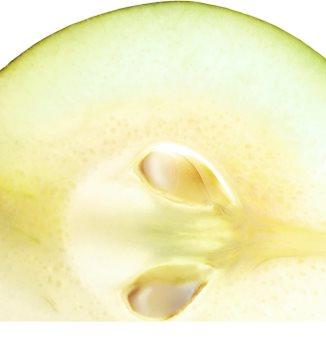 Jil Sander Evergreen eau de toilette per donna 30 ml