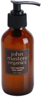 John Masters Organics Normal to Dry Skin čistiaca pleťová pena