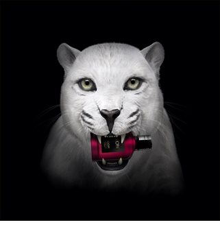 JOOP! Wow! for Women eau de toilette per donna 100 ml