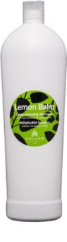 Kallos Lemon Shampoo für normales bis fettiges Haar