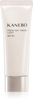 Kanebo Skincare Energizing Day Cream SPF 30