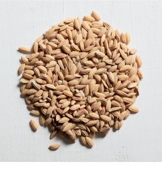 Kérastase Aura Botanica Soin Fondamental tratamiento de hidratación profunda para iluminar el cabello sin vida