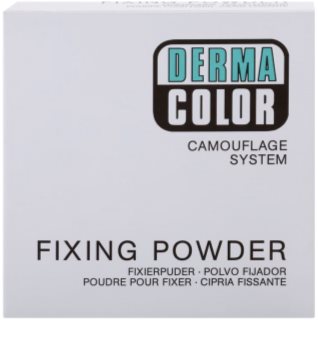 Kryolan Dermacolor Camouflage System fiksacijski puder veliko pakiranje