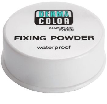 Kryolan Dermacolor Camouflage System Waterproof Setting Powder