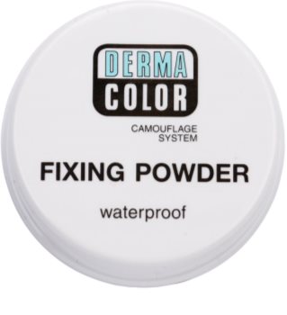 Kryolan Dermacolor Camouflage System pudra de fixare, rezistenta la umiditate