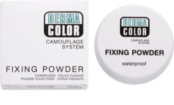 Kryolan Dermacolor Camouflage System pudra de fixare, rezistenta la umiditate