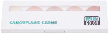 Kryolan Dermacolor Camouflage System paleta corectoare cu 5 culori cremoase