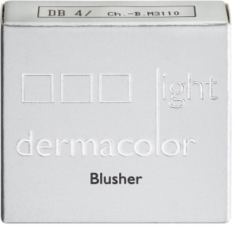Kryolan Dermacolor Light arcpirosító