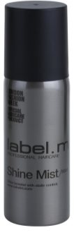 label.m Complete sprej pro lesk
