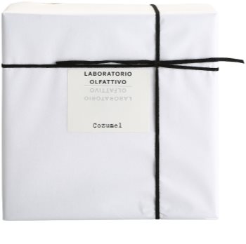 Laboratorio Olfattivo Cozumel eau de parfum férfiaknak 100 ml