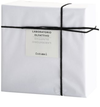 Laboratorio Olfattivo Cozumel woda perfumowana dla mężczyzn 100 ml