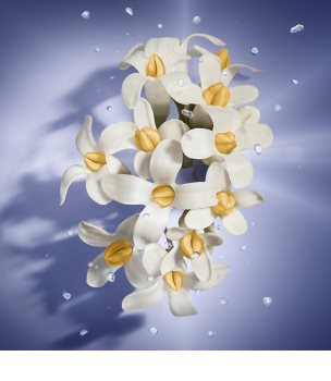 Lancôme La Vie Est Belle Florale eau de toilette nőknek 50 ml