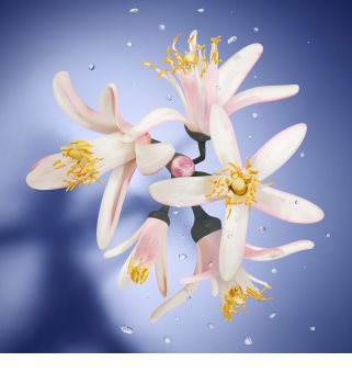 Lancôme La Vie Est Belle L’Éclat woda toaletowa dla kobiet 50 ml