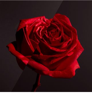 Lancôme L’Absolu Rouge Drama Matte rouge à lèvres longue tenue à effet mat