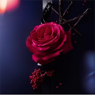 Lancôme La Nuit Trésor À La Folie Eau de Parfum Damen 50 ml