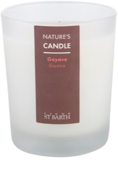 Ligne ST. Barth Guave Duftkerze 180 g