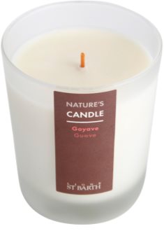 Ligne ST. Barth Guave Duftkerze 180 g