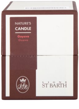 Ligne ST. Barth Guave Duftkerze 180 g