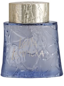 Lolita Lempicka Au Masculin Eau de Toilette voor Mannen 100 ml