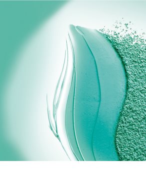 L’Oréal Paris Elseve Extraordinary Clay champú para cabello graso