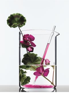 L’Oréal Paris Botanicals Radiance Remedy pršilo za sijaj