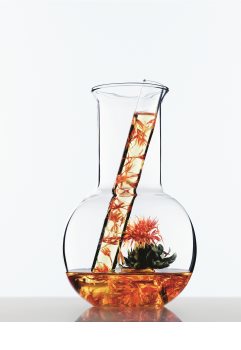 L’Oréal Paris Botanicals Rich Infusion Mask For Dry Hair