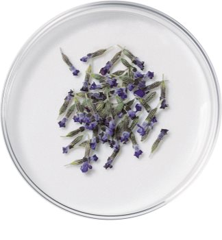 L’Oréal Paris Botanicals Lavender balsam pentru par fin