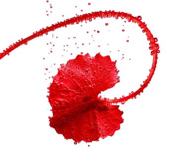 L’Oréal Paris Revitalift Cica Cream dnevna regeneracijska krema proti staranju kože