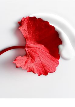 L’Oréal Paris Revitalift Cica Cream nočný krém proti vráskam