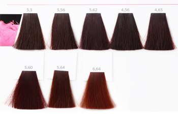 L’Oréal Professionnel Inoa ODS2 Haarfarbe