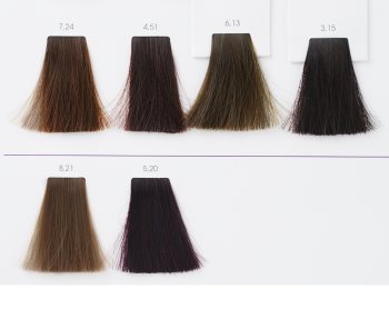 L’Oréal Professionnel Inoa ODS2 Haarfarbe