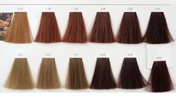 L’Oréal Professionnel Inoa ODS2 Haarfarbe