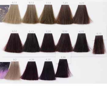 L’Oréal Professionnel Inoa ODS2 Haarfarbe