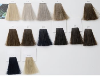 L’Oréal Professionnel Inoa ODS2 Haarfarbe